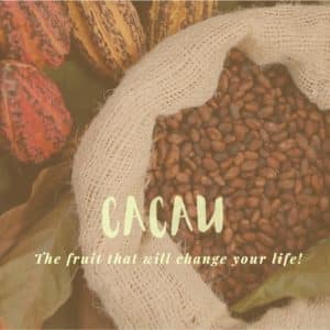 Cacao E-Book by Isabela Benucci